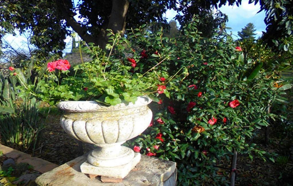 לינה וארוחת בוקר ג'יארה Baglio Delle Rose מראה חיצוני תמונה