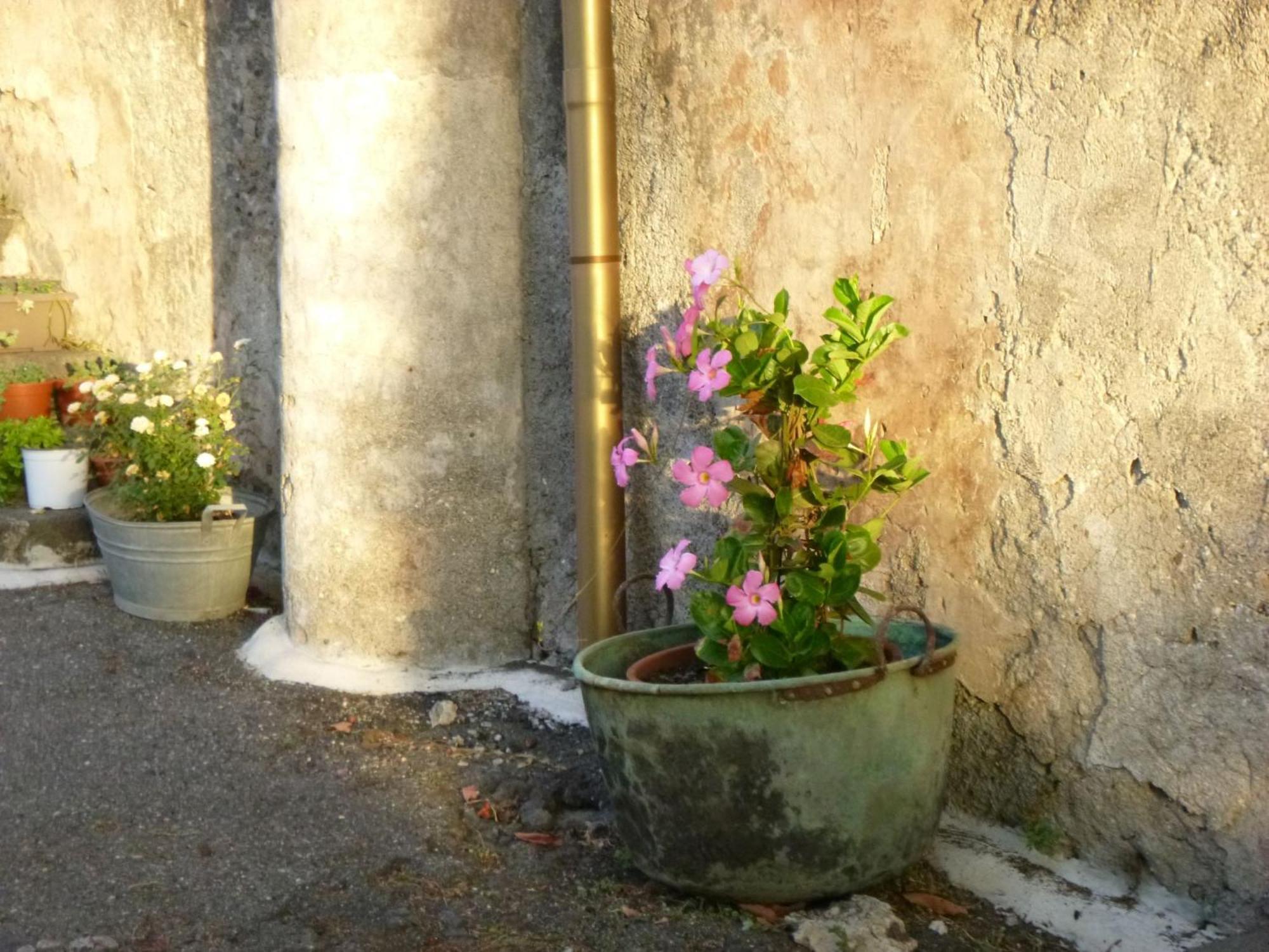 לינה וארוחת בוקר ג'יארה Baglio Delle Rose מראה חיצוני תמונה