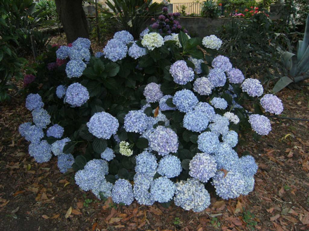 לינה וארוחת בוקר ג'יארה Baglio Delle Rose מראה חיצוני תמונה