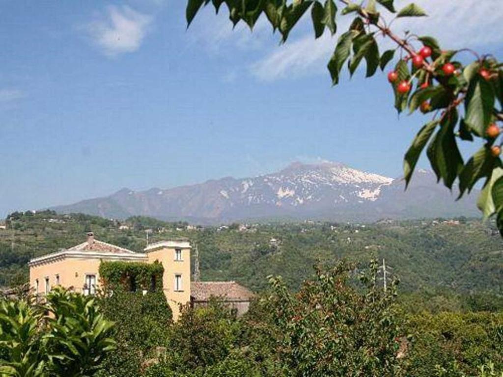 לינה וארוחת בוקר ג'יארה Baglio Delle Rose מראה חיצוני תמונה