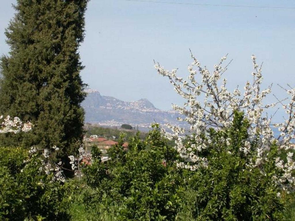 לינה וארוחת בוקר ג'יארה Baglio Delle Rose מראה חיצוני תמונה
